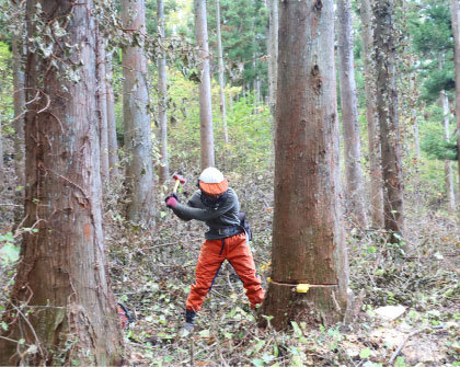 山仕事、始めてみませんか？